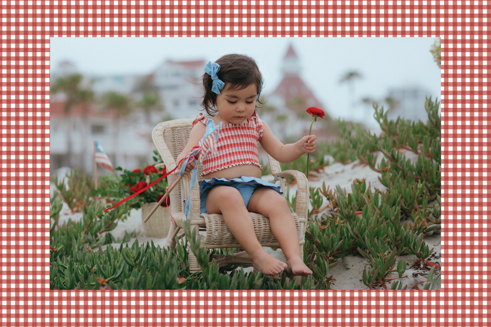 Meet the 4th of July collection! 🇺🇸