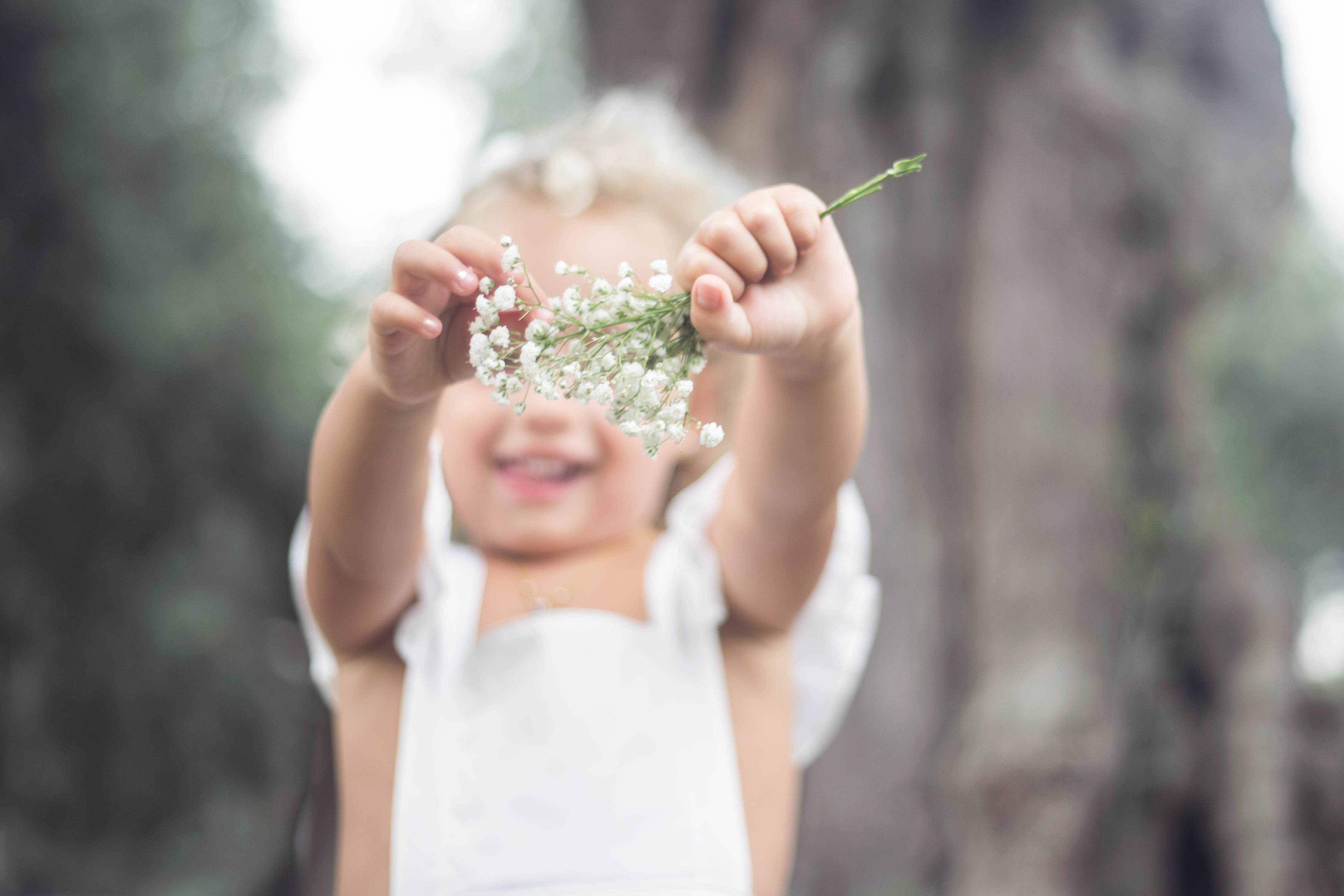 Spring / Summer 2018