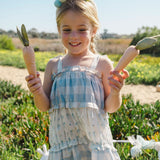 Amber Dress in Blue Gingham