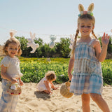 Amber Dress in Blue Gingham