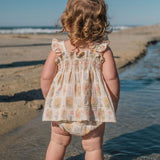 Flutter Set in Early Blooms