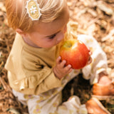 Scallop Clip Set - Honeycomb